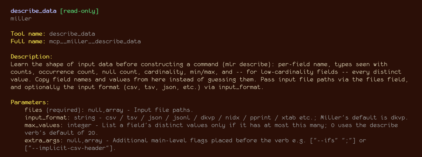 pix/mcp-describe-data.png